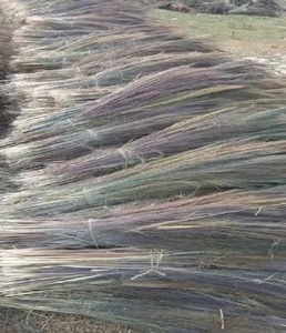 Hierba de escoba Natural de calidad superior para hacer escobas de hierba duraderas, ideales para herramientas de limpieza industrial para el hogar - Product Image 3