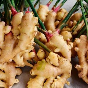 El jengibre fresco más vendido/Gingembre/ Ingwer-Jengibre amarillo estándar de exportación al por mayor (WA: + 84362512699) - Product Image 5