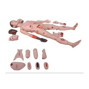 Advanced Realistic Trauma Training Simulator for Emergency <b>Medical</b> Skill Development - Product Image 2