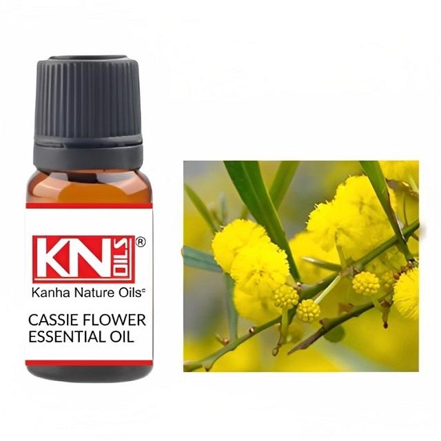 ตามที่ปรากฏ