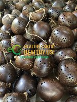 Pot Tanaman dan Pot Gantung dari Kulit Kelapa Grosir Vietnam dengan Logo dan Desain Kustom, Planter Alami Berkualitas Tinggi
