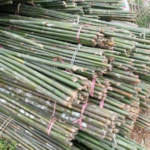 ไม้ไผ่หลายขนาดสำหรับรองรับต้นกล้าและผักดอกไม้ทำจากวัตถุดิบคุณภาพสูง - Product Image 3