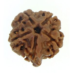 NOVAMART Fine Genuine Nepali Rudraksha 5 Mukhi Ganesh JI <b>Beaded</b> <b>Bracelets</b> for Gifts Wood & Quartz Accented Wholesale Export - Product Image 2