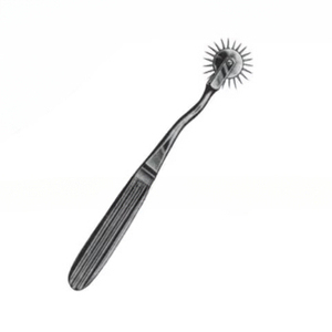 Rueda de Sensibilidad Wartenberg de 19 cm, Instrumento de Acero Inoxidable para Pruebas de Sensibilidad Cutánea y Examen de Nervios - Product Image 1