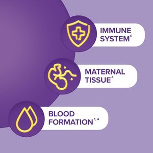 SEVEN SEAS 28 Cápsulas, Suministro para 4 Semanas, Multivitamínico con Sabor a Jengibre y Ácido Fólico para Mujeres Embarazadas, Cápsulas de Nutrición Materna - Product Image 5