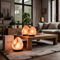 Lampe de sel de l'Himalaya naturelle certifiée GMP, sculptée, Feng Shui, amour, matériau organique, écologique, emballage complet, 2-3 kg, la meilleure