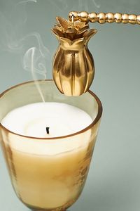 Ciseaux à bougies en acier inoxydable de conception unique outils d'extinction d'incendie mèche outil de bougie de coupe Kit d'extincteur de bougie - Product Image 4