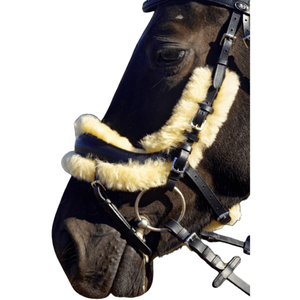 Brida de Cuero para Caballo con Diadema Trenzada, Duradera, Totalmente Personalizable, Ajustable, de Alta Calidad - Product Image 4