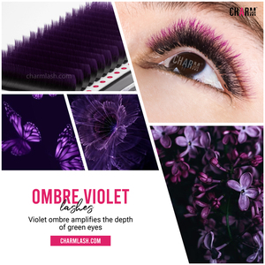 CharmLash caja personalizada ombre pestañas de colores de visón 0,07 0.085 0,1 extensiones de pestañas bandeja Rosa extensiones de pestañas de visón esponjoso al por mayor - Product Image 6