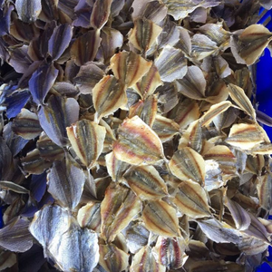 POISSON SCAD SÉCHÉ EN GROS ÉTIQUETTE PROPRE PRODUIT NATUREL - Product Image 6