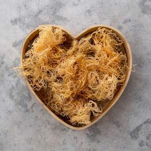 PRODUIT CHAUD 2025 POUR EXPORTER DE LA MOUSSE DE MER DU VIETNAM - Product Image 1