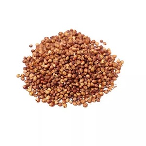 Grains de sorgho rouge entiers de haute qualité, origine française, durée de conservation de 2 ans - Prix de gros avantageux - Product Image 5