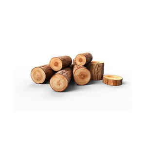 Live Edge <b>Wood</b> <b>Log</b> <b>Slices</b> Great for Coasters, Crafts, and Displays - Product Image 6