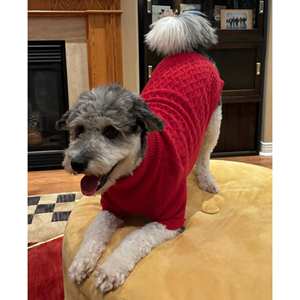 Pull pour chien tricoté de luxe avec fonction réfléchissante cadeau d'hiver personnalisé pour les amoureux des chiens pour Halloween et Noël - Product Image 2
