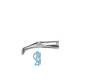 Fórceps de extracción de acero inoxidable de alta calidad Fig 47 Fabricante y exportador de Instrumentos dentales - Product Image 4