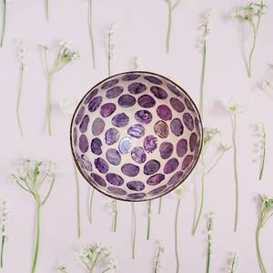 Tazón de Coco Ecológico Hecho a Mano, Tazón de Servir de Cáscara de Coco Natural para Ensaladas, Smoothies, Frutas, Arroz y Decoración del Hogar - Product Image 1