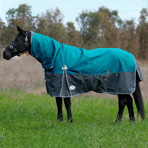 Tapis de cheval imperméables sur mesure pour l'hiver, construits avec une solution abordable et durable en polyester de qualité supérieure - Product Image 3