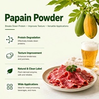 Natuurlijk Papain Enzym Papain Voedingskwaliteit Papaya Extract Papain Enzym Poeder voor Vleesverzachter, Voedselverwerking & Brouwen