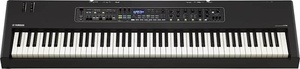 Excelente estado, Piano Digital CK88 - Product Image 3
