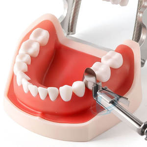 Service OEM, derniers modèles de matrices de contention dentaires, fabrication sur mesure, quantité en gros, matrices de contention dentaires pour les dents - Product Image 6