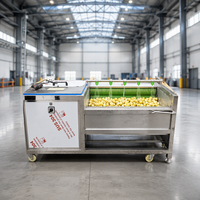 Fruit- en groente-schilmachine met hoge prijs-kwaliteitverhouding