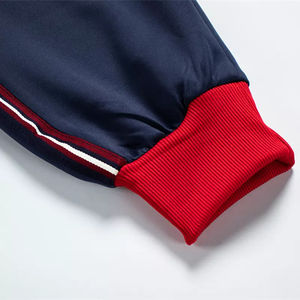 Nouveaux vêtements de sport de printemps et d'automne pour hommes Combinaison de survêtement 2 pièces avec veste et pantalon imprimés pour le jogging Combinaison de sport d'hiver - Product Image 2