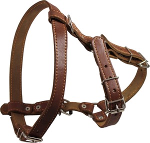 Harnais en cuir véritable pour chien Harnais sans fuite pour chien Entraînement à la marche Harnais à sangle robuste et réglable - Product Image 6