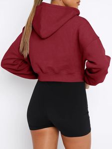 Premium French Terry Sudadera Proveedor Poliéster Manga larga Cuello alto Cremallera Corto Nude Oversize Sudaderas con capucha verdes para mujer - Product Image 4