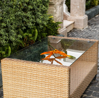 Ensemble de meubles de jardin en rotin moderne PLWICKER PLW-MORAG Mora, canapé, fabrication vietnamienne, emballé dans une boîte en carton, livraison rapide