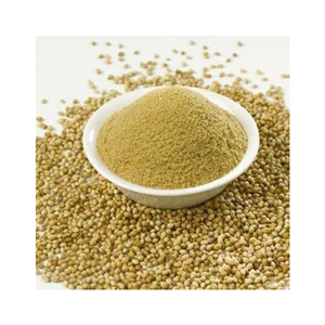 Excellent prix, Herbojit International, extrait de coriandre (Coriandrum Sativum) en poudre, 100% pur naturel, stimulant immunitaire, antioxydants - Product Image 2