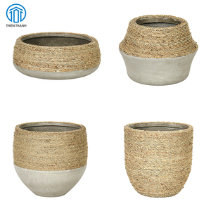 Recién llegados, macetas para interiores y exteriores, hierba elegante, macetas de hormigón mixto, algas marinas únicas con macetas y jardineras de cemento - Product Image 1