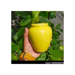 2024 nuevo estilo Mini florero de cerámica de alta calidad Vintage Lota Bowl jarrón de mesa para tazas de felicitación - Product Image 5