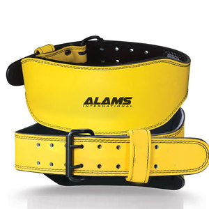Cinturones de Levantamiento de Pesas Personalizados Más Vendidos, Cinturones de Levantamiento de Pesas Ligeros, Cinturones de Levantamiento de Pesas en Oferta - Product Image 1