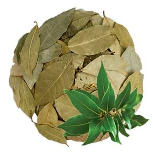 Feuilles de laurier séchées parfumées pour les cuisines mondiales et les importateurs d'épices - Product Image 1