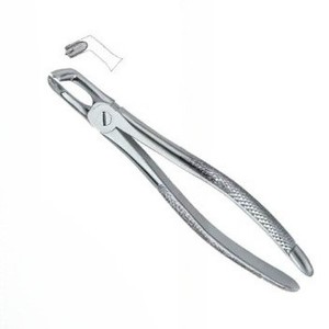 Forceps d'extraction de dents dentaires avec logo personnalisé d'excellente qualité Fig79 Instruments dentaires en acier inoxydable - Product Image 3