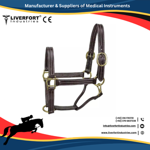 Qualité Ovation Halter Durable Équitation Cheval Diamant Halters Équipement De Sécurité Cheval En Cuir Souple Halter Anglais Western CE - Product Image 2