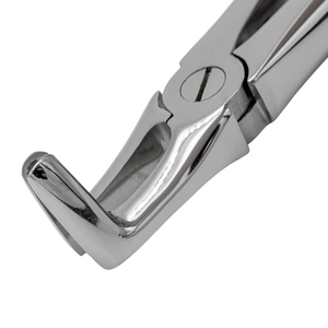 Pinza de Extracción de Ángulo Recto para Animales Pequeños, Instrumento Quirúrgico Dental Manual, Pinza de Tejido de Acero para Perros y Gatos - Product Image 2