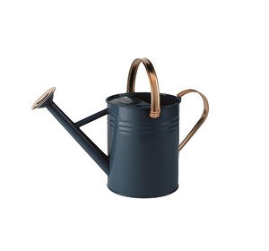 Pot d'arrosage métallique en acier pour jardin domestique avec bec à haut débit pour l'arrosage rapide de grandes plantes en pot ou de parterres de fleurs - Product Image 1