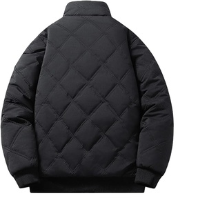 Blouson matelassé pour homme sans capuche, léger, chaud, coupe-vent, isolé thermiquement, épais, avec poches, 2026 - Product Image 3