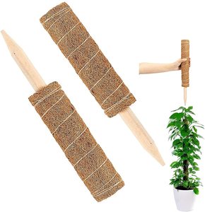 Coconut coir moss stick plants stackable coconut fiber climbing plant support stakes cheap prices wholesale