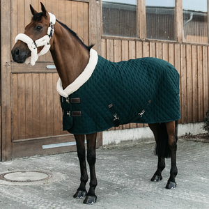Alfombras de caballo impermeable cuello de cobertura total Azul estable 1200d poliéster alfombra de caballo de invierno - Product Image 2