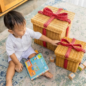 กล่องเก็บของอเนกประสงค์หวายธรรมชาติรักษ์โลก ดีไซน์ทันสมัย ชุด 2 กล่อง - Product Image 5