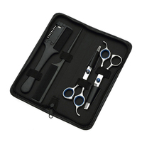 Meilleur kit de coupe de cheveux professionnel en acier inoxydable argenté de 6.0 pouces ciseaux de coiffure haute performance pour une utilisation en salon