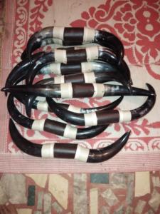 Nuevo Juego de Cuernos para Beber, Juego de Dos Cuernos para Decoración de Pared - Product Image 5