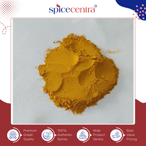 Venta Exclusiva de Polvo de Cúrcuma Seca Cruda de Primera Calidad con Ingredientes Naturales - 2.5% de Curcumina, Compradores al por Mayor, Spicecentra India - Product Image 4