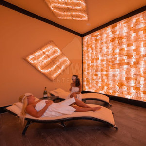 100% Artisanat naturel pur Logo personnalisé 1x4x8 pouces carreaux de sel vente en ligne - Product Image 5