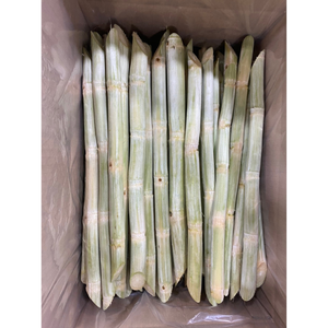 Vente en gros de bâtonnets de canne à sucre congelés du Vietnam Smoothies et boissons détox propres et prêts pour le jus - Product Image 3