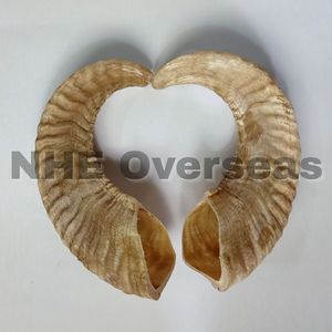 Lâu dài RAM sừng chó nhai cao cấp mạnh mẽ bền an toàn lành mạnh xử lý tự nhiên bởi nhe ở nước ngoài - Product Image 2