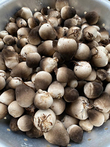 เห็ดฟางแช่แข็งแบบ OEM บรรจุภัณฑ์แบบ IQF หั่นครึ่งชิ้น เห็ดฟางแช่แข็งแบบ IQF 2.47 ออนซ์ เห็ดฟางหวานแช่แข็งแบบ IQF 16 ออนซ์ - Product Image 6