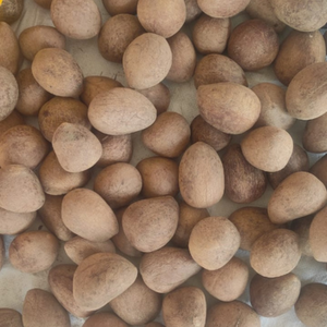 Noyaux de noix de coco blancs non OGM, qualité alimentaire, séchés au soleil, pour l'exportation et l'utilisation dans l'industrie alimentaire et pétrolière internationale - Product Image 1